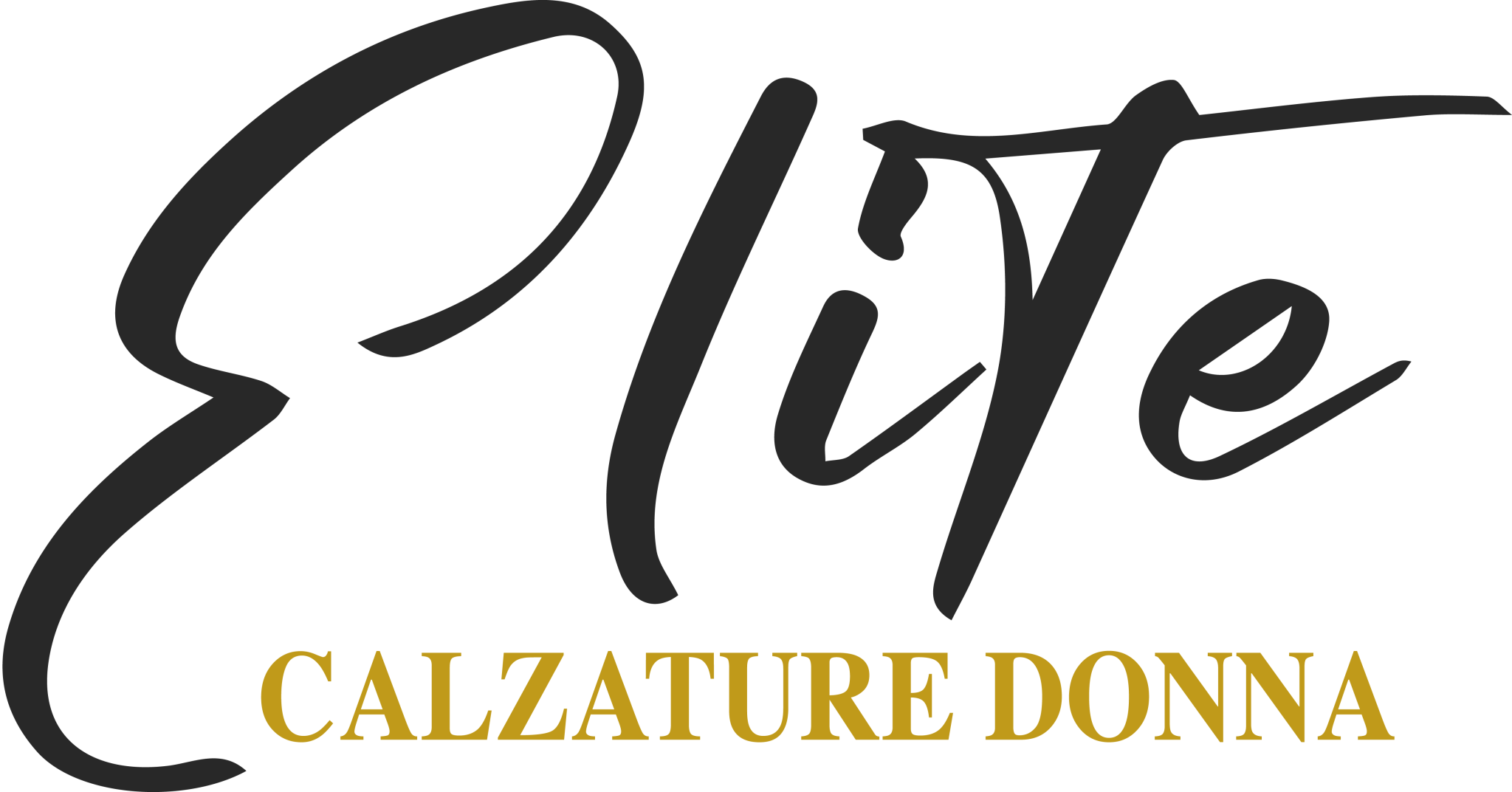 Elite Calzature